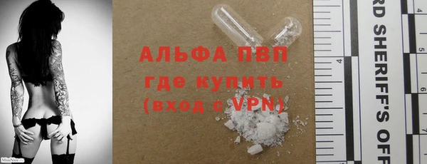 spice Аркадак