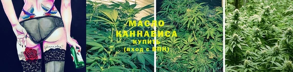 мяу мяу кристалл Арсеньев