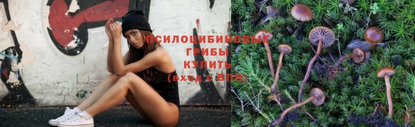 прущий лед Семилуки