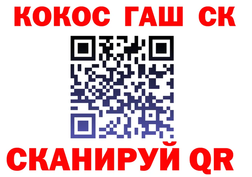 A PVP СК ТОР дарк нет KRAKEN Новоржев